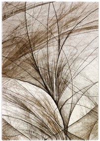 Medipa (Merinos), Kusový koberec Diamond 24153/760, 160x230, hnedá, kancelária