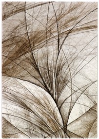 Medipa (Merinos), Kusový koberec Diamond 24153/760, 200x290, hnedá, kancelária