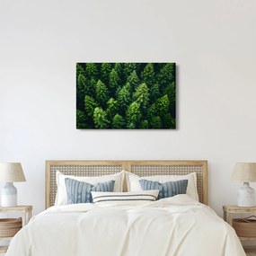 Obraz - Les (90x60 cm)