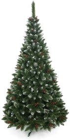 Vianočný stromček Borovica diamantová s jarabinou 220 cm