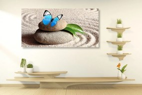 Obraz modrý motýľ na Zen kameni