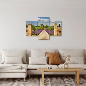 Obraz - Levanduľové cesty (90x60 cm)