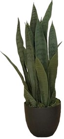 Artificial plant Sansewieria Zelenica 65cm