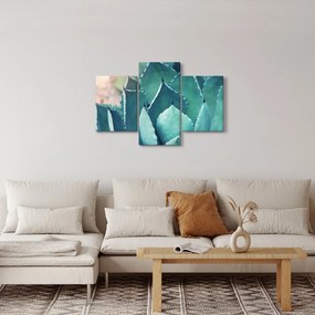 Obraz - Sukulent (90x60 cm)