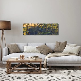 Obraz - Vinice (s hodinami) (90x30 cm)