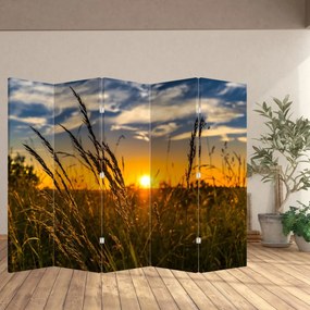 Paraván - Pole pri západe slnka (210x170 cm)
