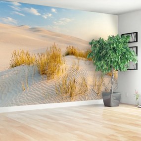 Fototapeta Vliesová Bunesk dunes 312x219 cm