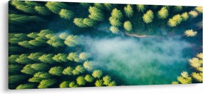 Obraz - Hmlou zahalený les (120x50 cm)