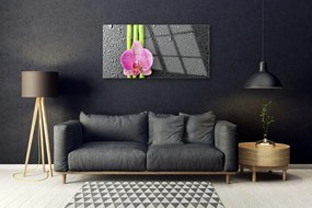 Skleneny obraz Bambus kvet rastlina príroda 100x50 cm