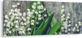 Obraz konvaliniek (120x50 cm)