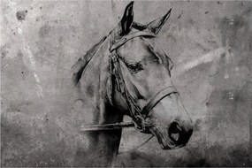 Obraz - Portrét koňa (90x60 cm)