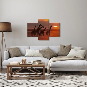 Obraz - Žirafy v africkej savane (90x60 cm)