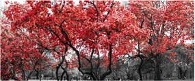 Obraz - Červené stromy, Central Park, New York (120x50 cm)