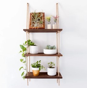 Nástenná polica orech americký