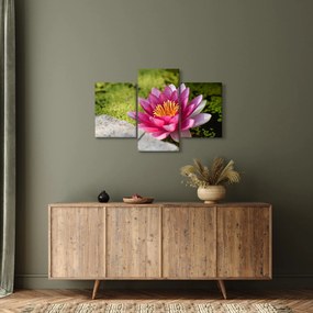 Obraz - Lekno (90x60 cm)