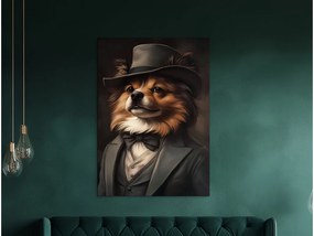 drevko |  Obraz Pomeranian v obleku