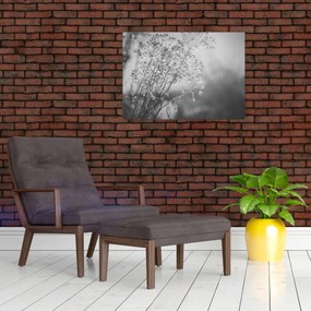 Sklenený obraz - Lúka po daždi (70x50 cm)