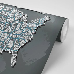 Samolepiaca tapeta moderná mapa USA - 450x300
