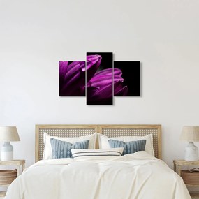 Obraz - Kvapka vody (90x60 cm)