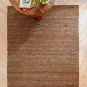 Obojstranný/ručne tkaný koberec s prímesou vlny v terakotovej farbe 160x230 cm Birkdale Rust – Asiatic Carpets