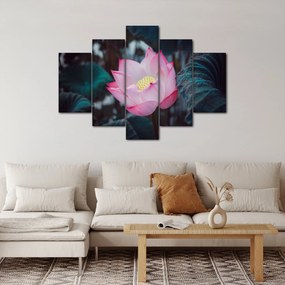 Obraz ružovej kvetiny (150x105 cm)