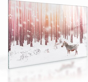 Sklenený obraz - Zebra v zasneženom lese (70x50 cm)