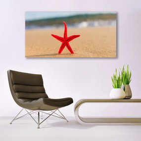 Obraz na akrylátovom skle Pláž hviezdice umenie 120x60 cm