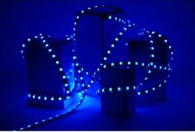 ECOLIGHT LED pásik - SMD 2835 - 5m - 60LED/m - 4,8W/m - modrý - IP20 - s konektorom