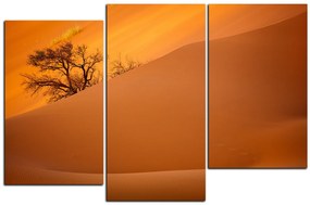 Obraz na plátne - Červené piesočné duny 1133D (150x100 cm)