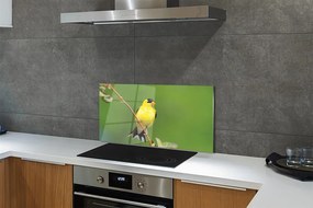 Nástenný panel  žltý papagáj 100x50 cm