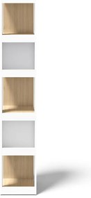 Biela knižnica v dekore duba 40x188 cm Ella - TemaHome