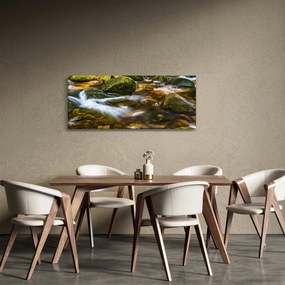 Obraz potôčiku (120x50 cm)