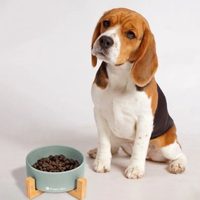 Keramická miska na bambusovém stojanu pro psy a kočky CATI šedá