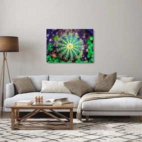 Sklenený obraz kaktusu (70x50 cm)