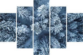 Obraz - Zasnežený les (150x105 cm)