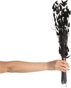 Kytica fúkačiek 60cm dark brown