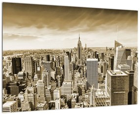 Panorama New York, obraz