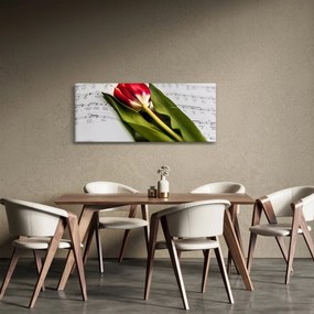 Obraz červeného tulipánu (120x50 cm)