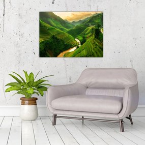 Sklenený obraz - Ryžové terasy Mu Cang Chai (70x50 cm)