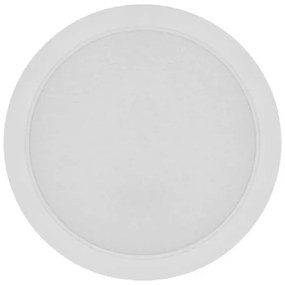 LED Stropné svietidlo LED/24W/230V pr. 22 cm biela