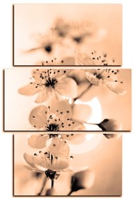 Obraz na plátne - Malé kvety na vetve - obdĺžnik 7173FC (90x60 cm)
