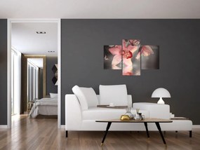 Obraz - Kvety a motýľ (90x60 cm)