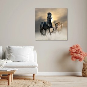 Obraz na plátně, Stádo koní - 50x50 cm