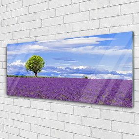 Obraz plexi Pole levanduľa strom príroda 125x50 cm