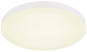 Globo 12384-50W - LED Stropné svietidlo MATTHEW LED/50W/230V biela