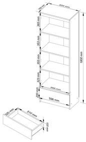 Regál Rexa 60 cm 1 zásuvka a 4 police biely/sonoma