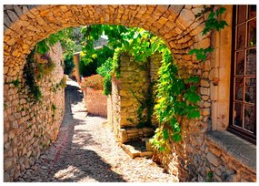 Artgeist Fototapeta - Summer in Provence Veľkosť: 100x70, Verzia: Standard