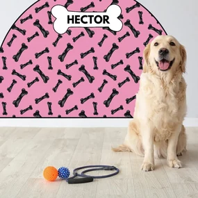 PIPPER. Ochranná textilná nálepka na stenu - Oblúk - Kostičky Veľkosť: 120x96cm, Motív: s menom