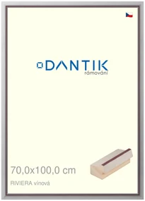 DANTIK rám na obraz 70x100 | RIVIERA vínová (Plexi Čiré)