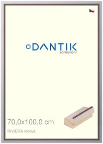 DANTIK rám na obraz 70x100 | RIVIERA vínová (Plexi Čiré)